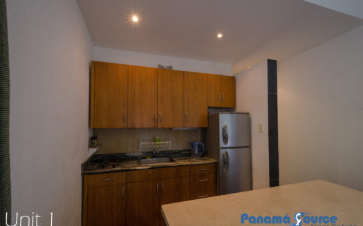 Oceanview Villa with Yard – Pet Friendly